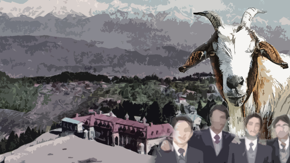 The Curious Case Of The Furious Mutton Handi